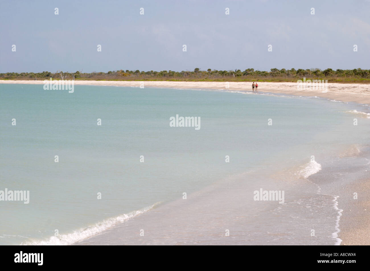 BEACH AT CAYO COSTA STATE PARK - Beach At Cayo Costa State Park On The Gulf Of Mexico In Southwest A8CWX4 