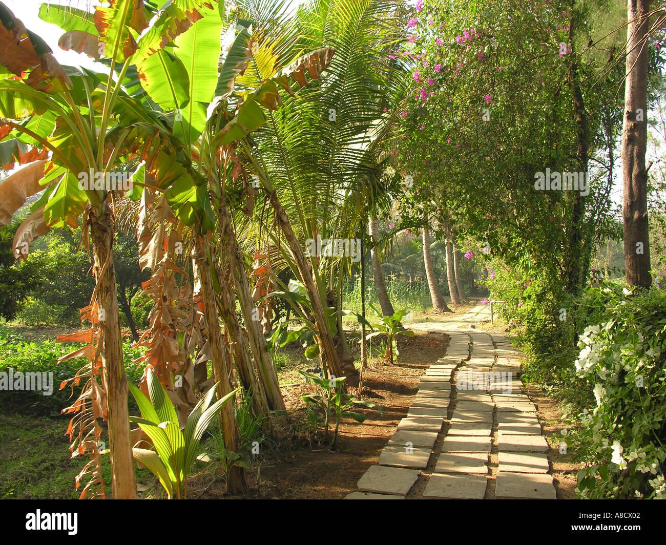 NMJ98732 stone tiles path in Varun Farm House Panvel Maharashtra India Stock Photo