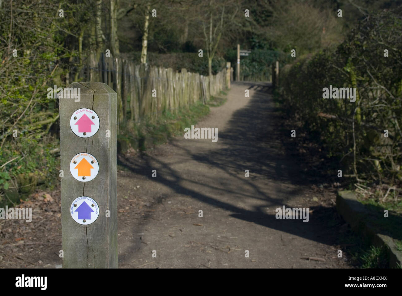 Coloured signs on a post to indicate walking routes on Alderley Edge in