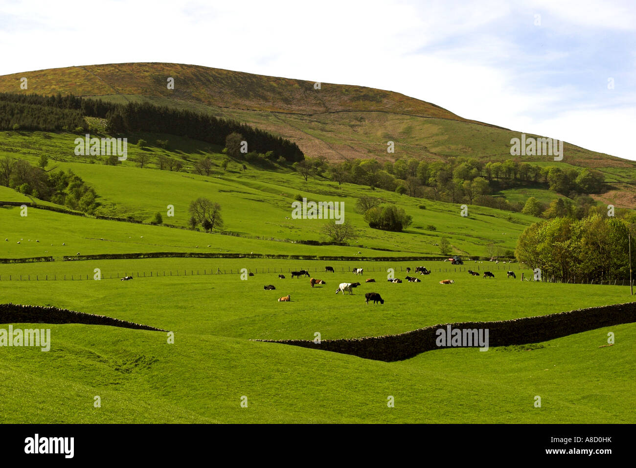 Lancashire hill farming hi-res stock photography and images - Alamy
