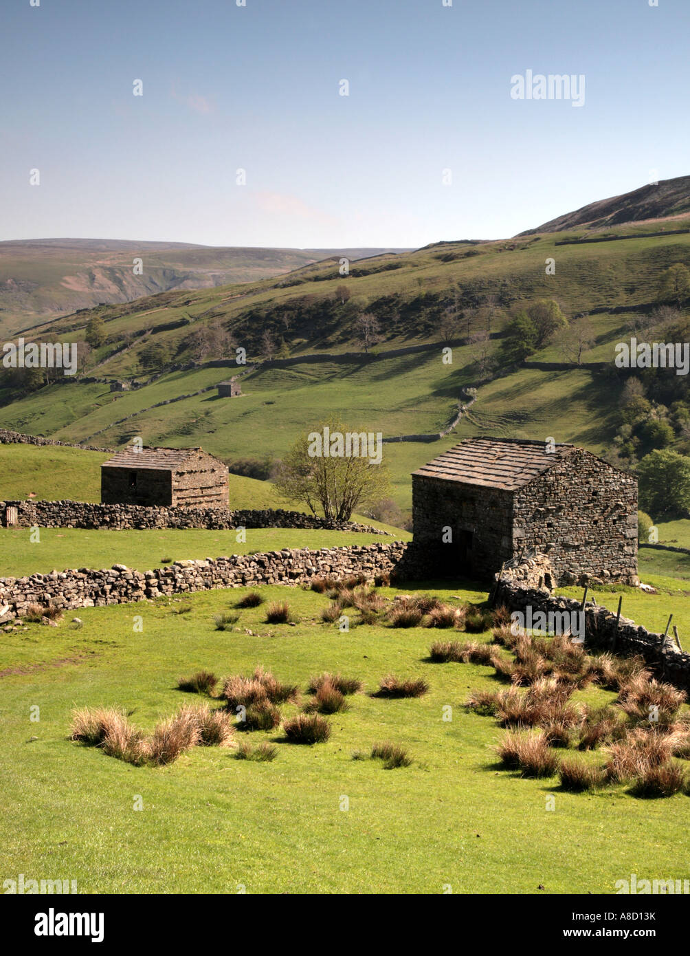 Swaledale, Yorkshire Dales , national park, UK, Europe home of James