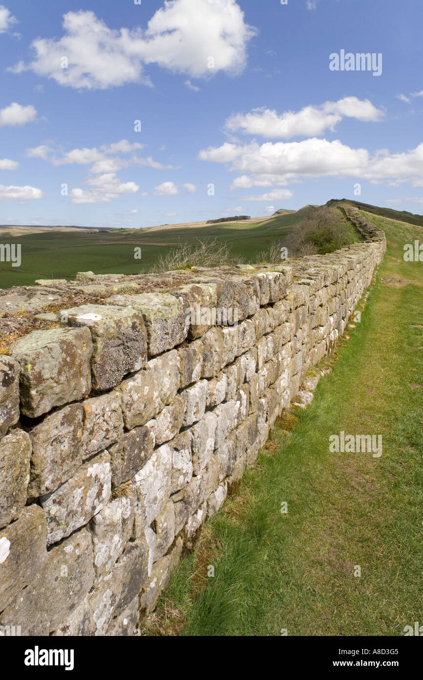 hadrians-wall-at-cawfield-crags-near-haltwhistle-northumberland-stock