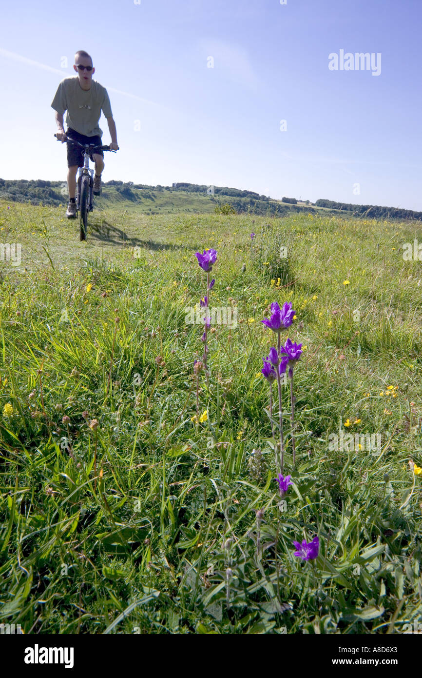 Mountain biker posing a threat to wild flowers Stock Photo