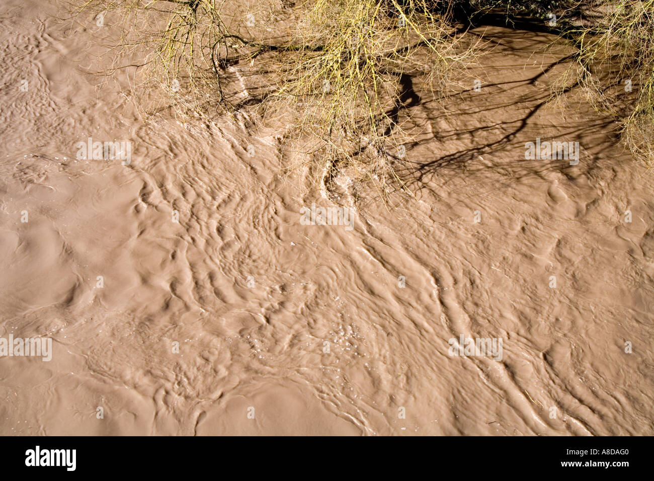 Swirl water texture hi-res stock photography and images - Alamy