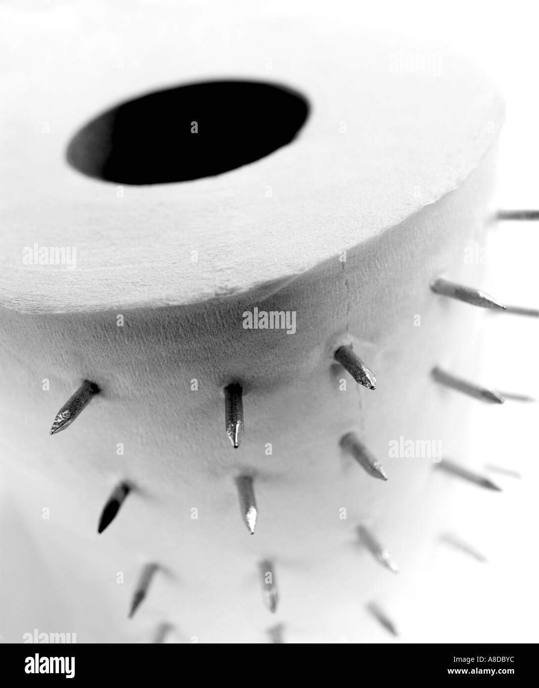 Nails sticking out of a roll of toilet paper Stock Photo Alamy