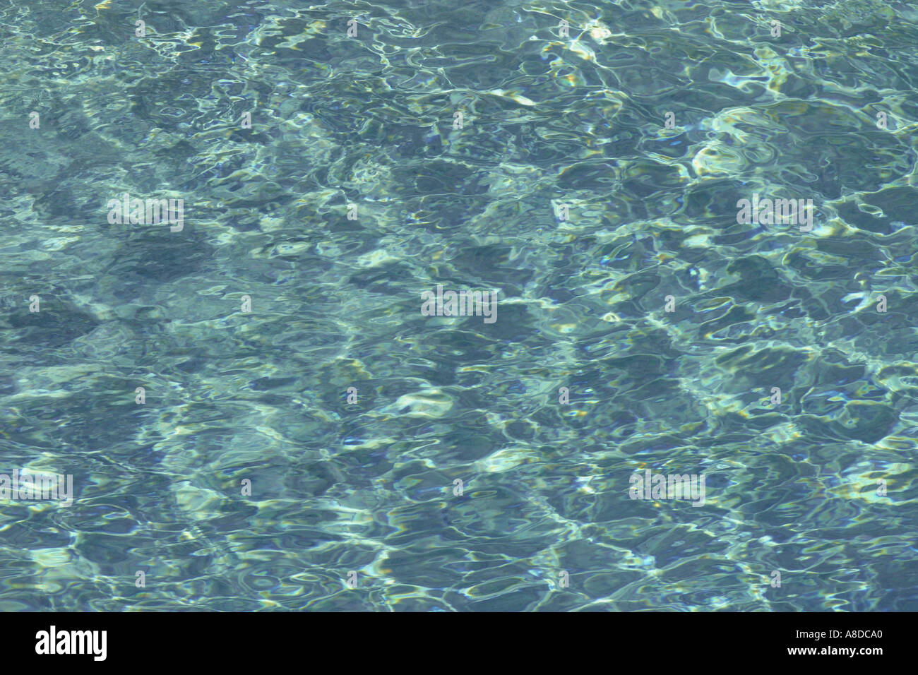 Swimming pool Stock Photo