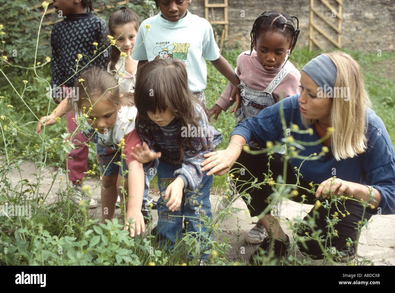 Primary School Children Working In The Playground Garden Stock Photo Primary School Children Working In The Playground Garden Stock Photo