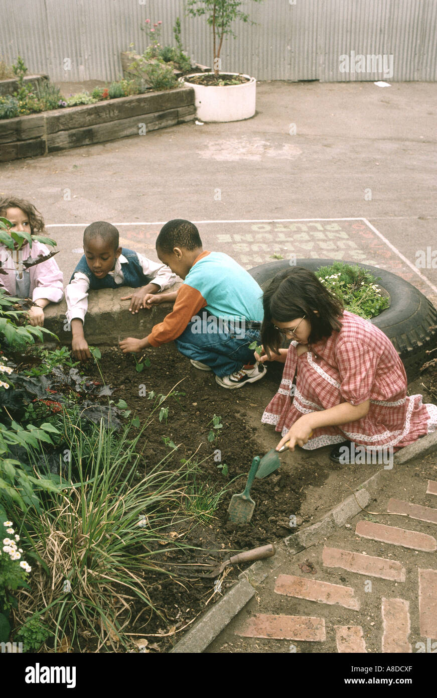 Primary School Children Working In The Playground Garden Stock Photo Primary School Children Working In The Playground Garden Stock Photo