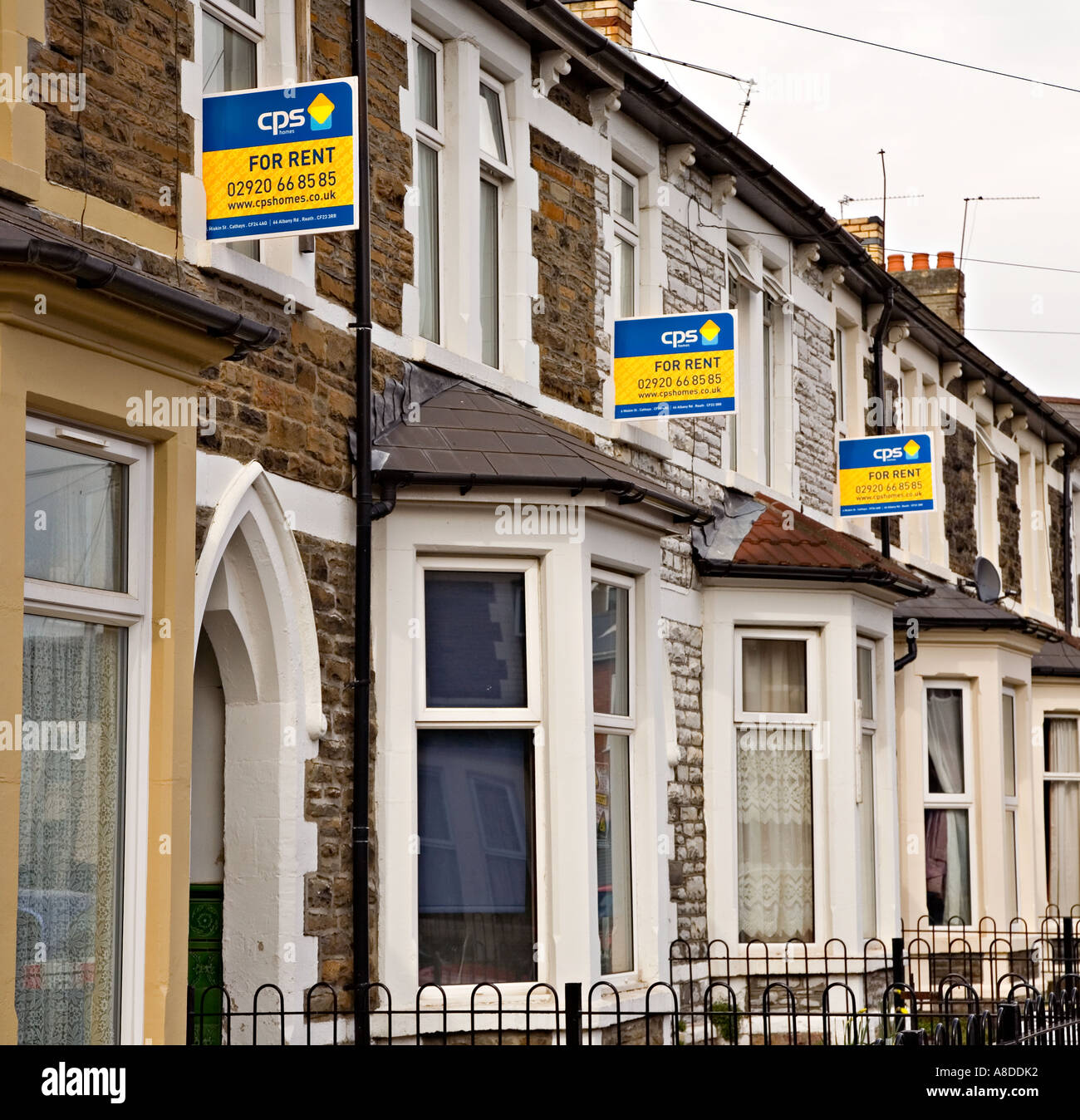 Properties for rent signs on houses in university student area of