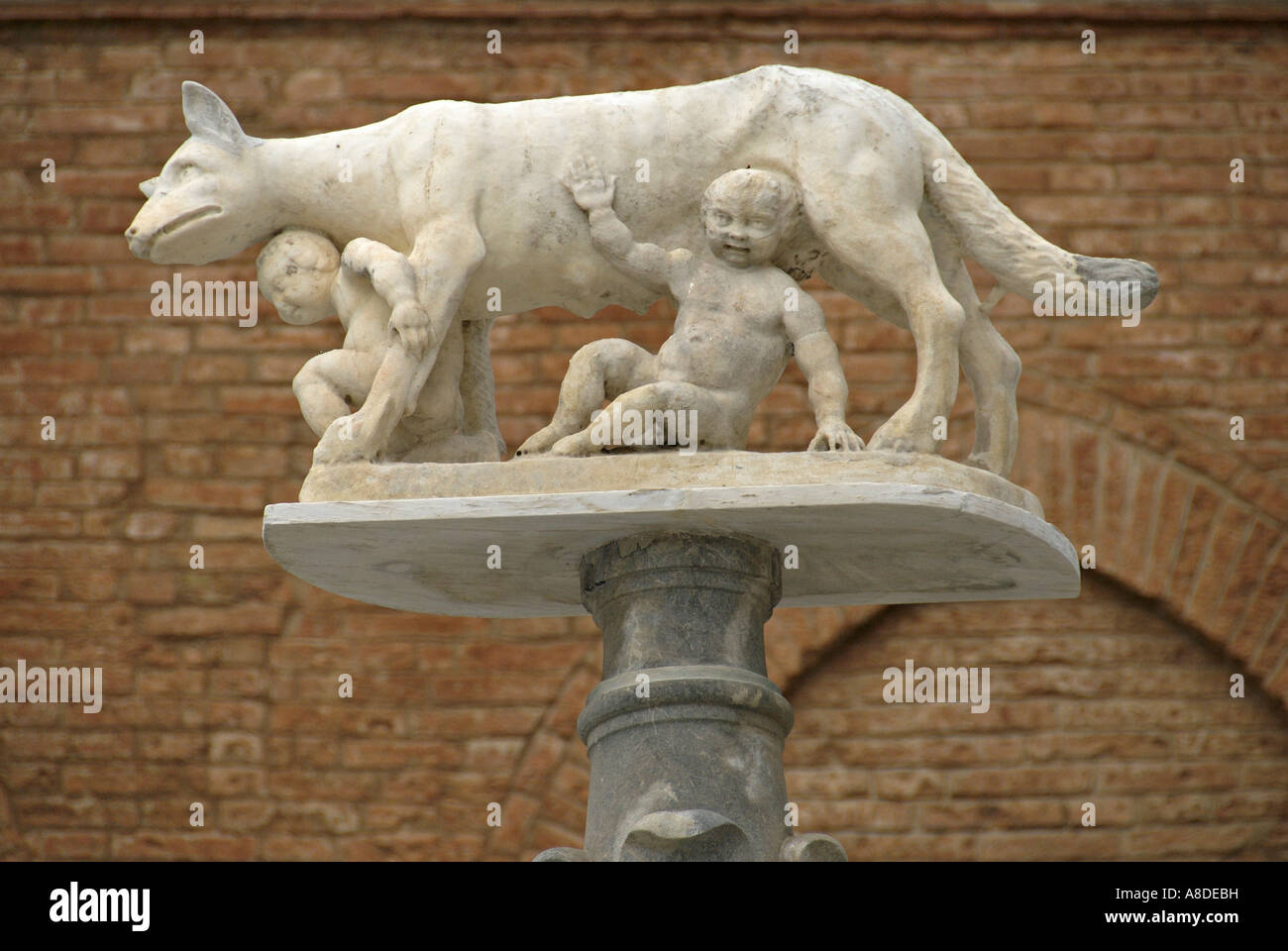 Statue of Romulus and Remus, Siena, Tuscany Stock Photo