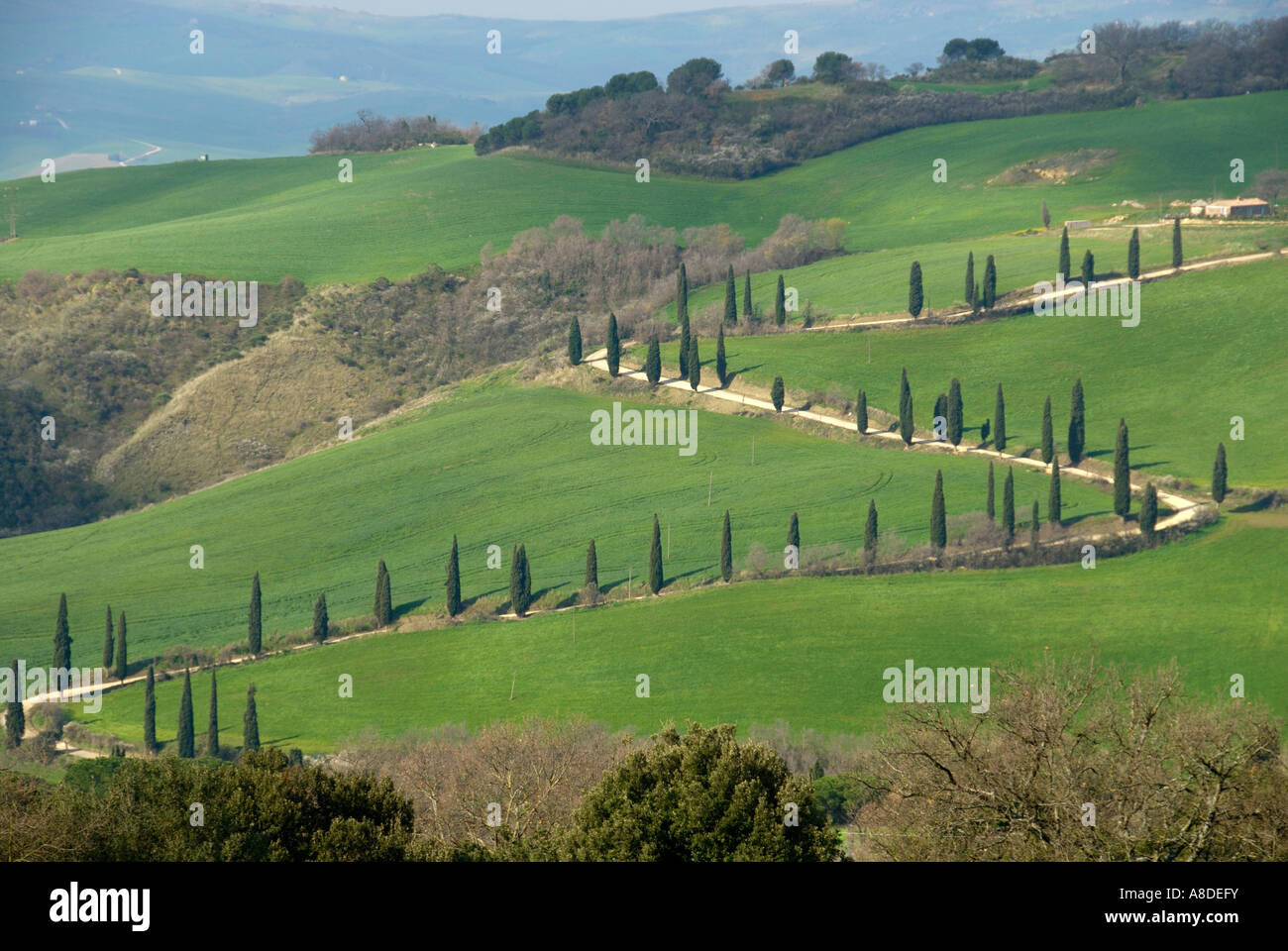 Winding road near Monticello, Tuscany Stock Photo