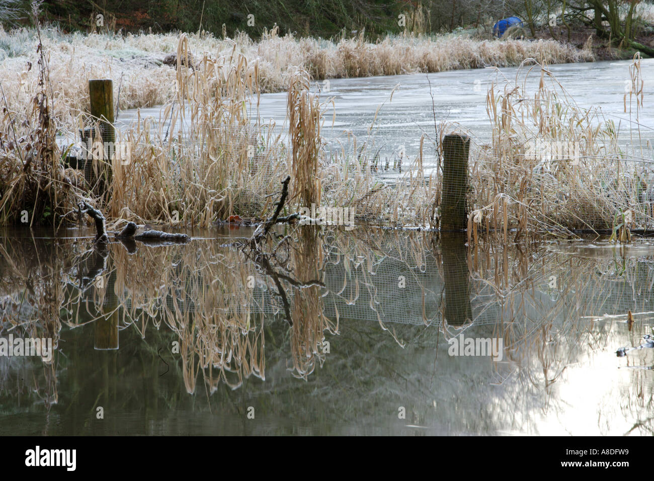 Icy Reflections Stock Photo