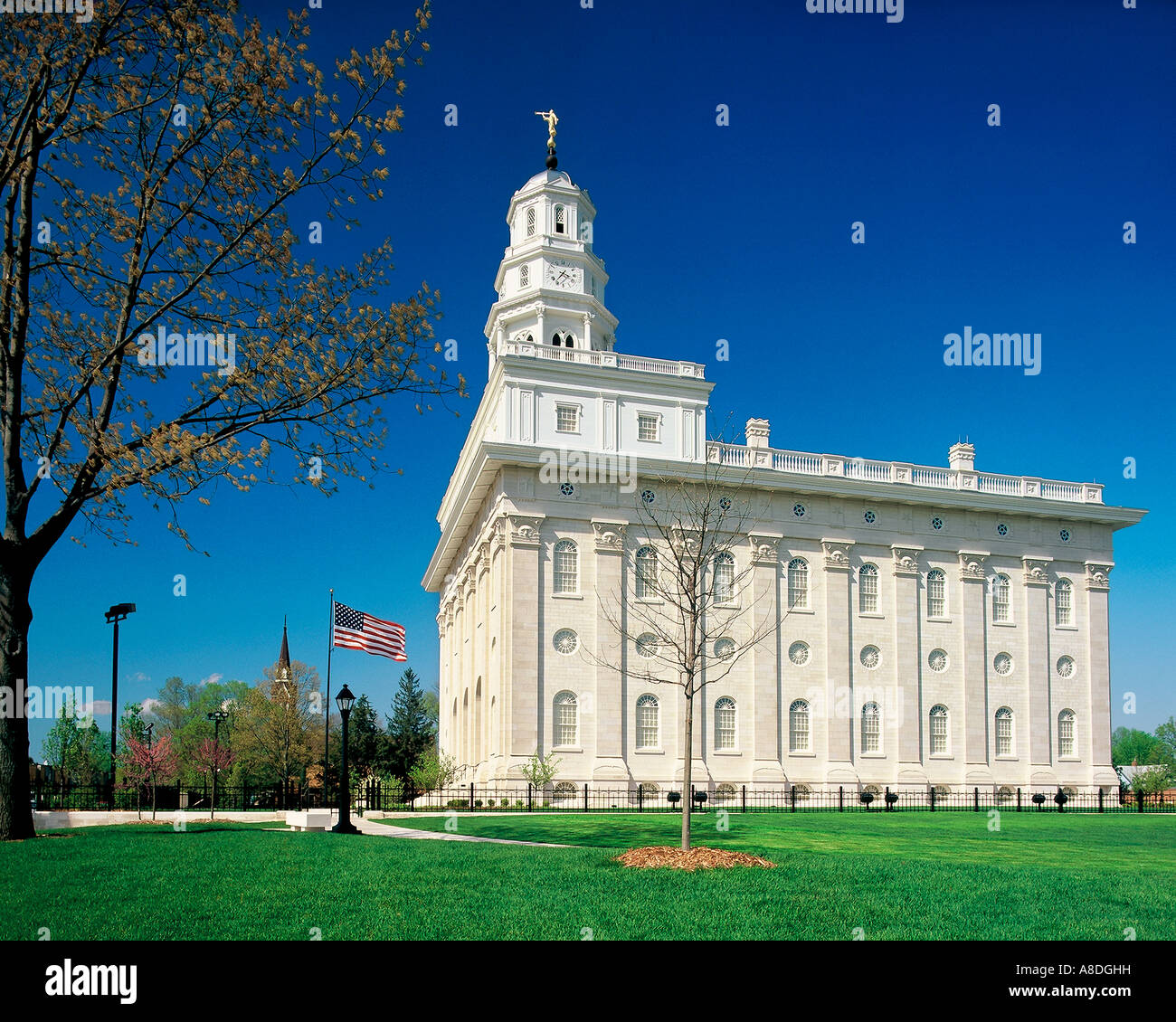 My Image 31