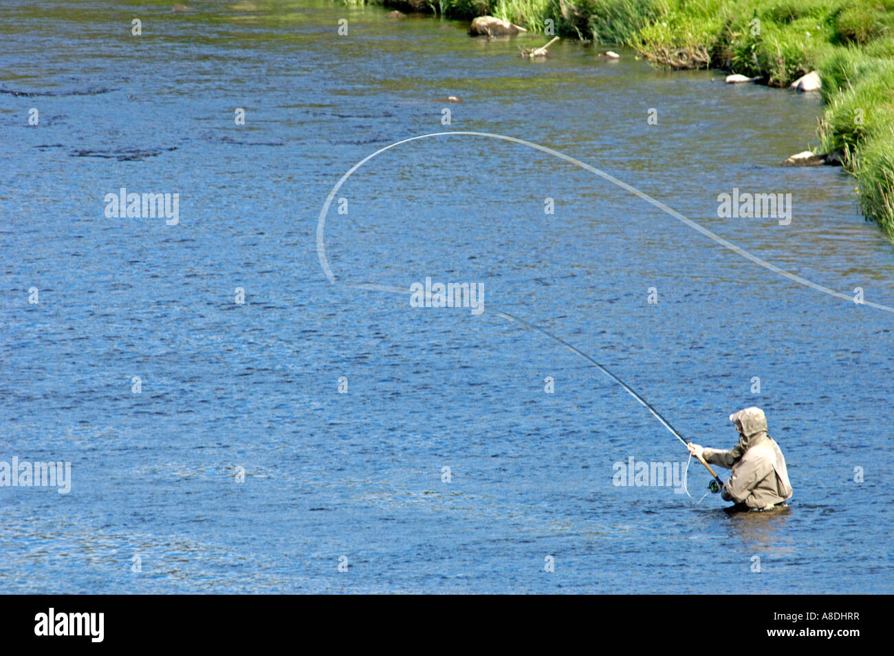 Salmon Fishing on the famous River Spey at Grantown on Spey Stock Photo - Alamy