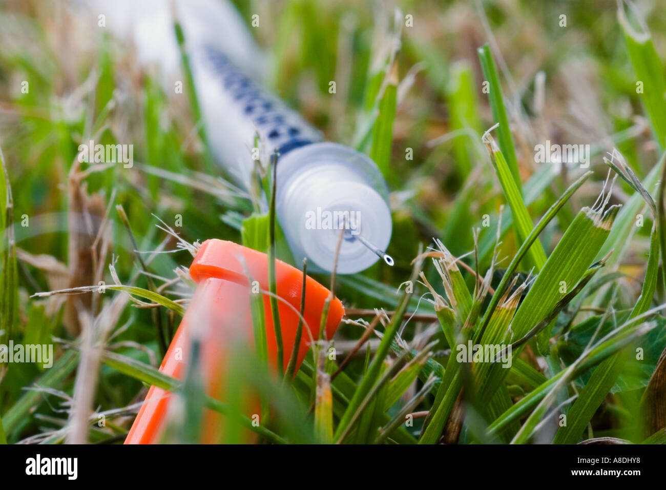 Syringing Turf Grass environment hi-res stock photography and images - Alamy