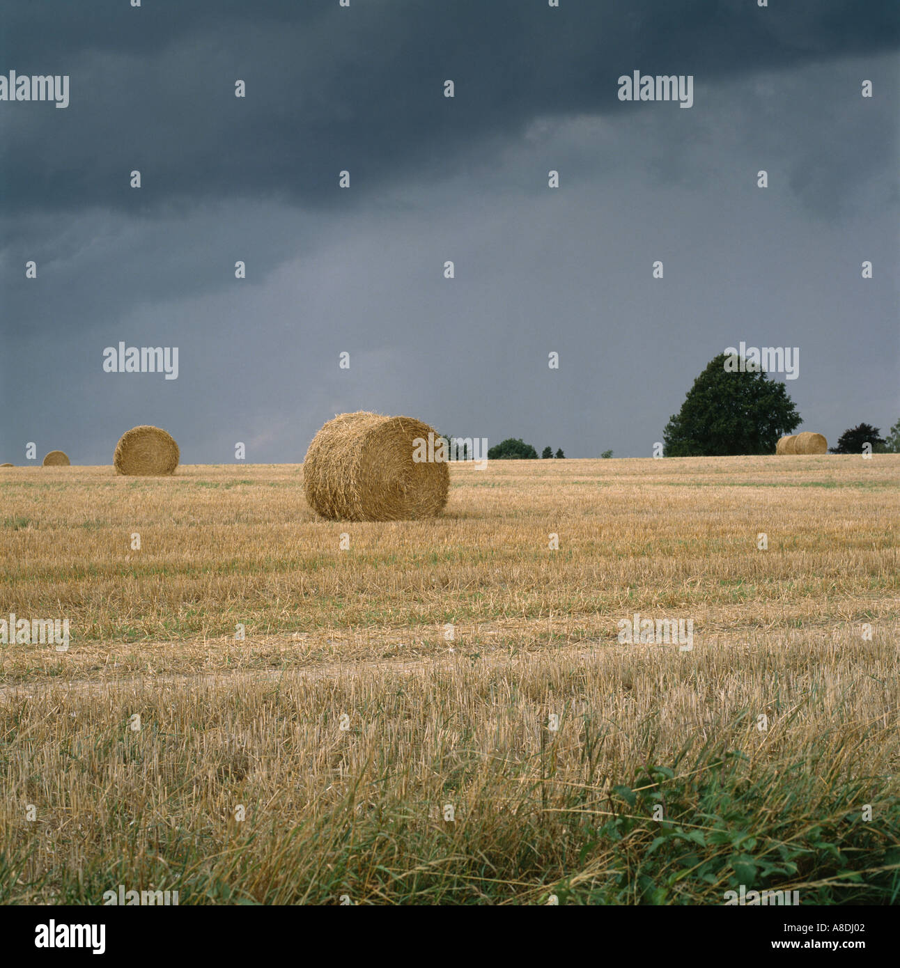 Sussex thunder hires stock photography and images Alamy