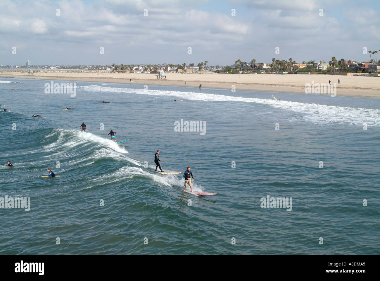 Surfing at Seal Beach California Stock Photo Alamy