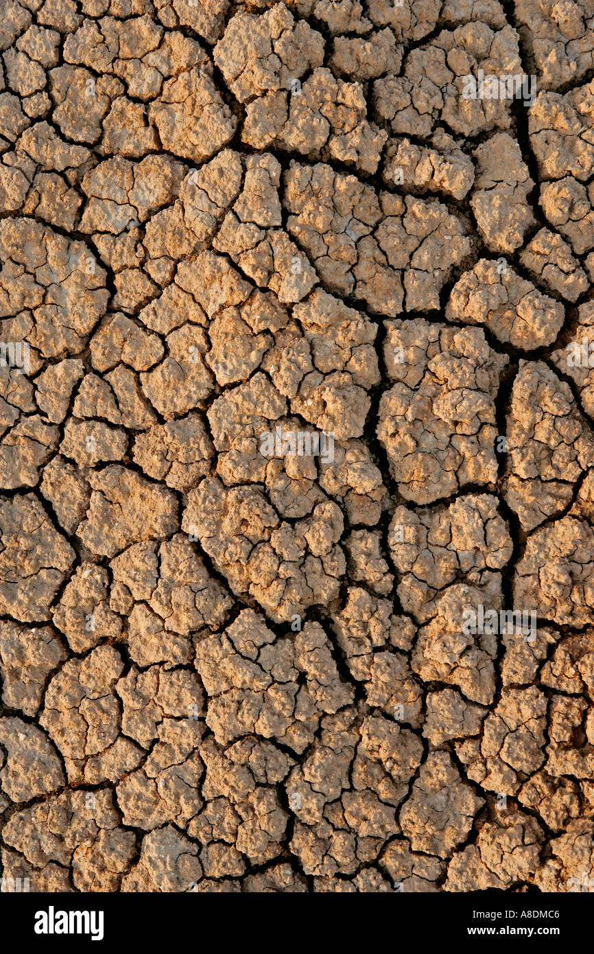 Cracked and dried mud Stock Photo