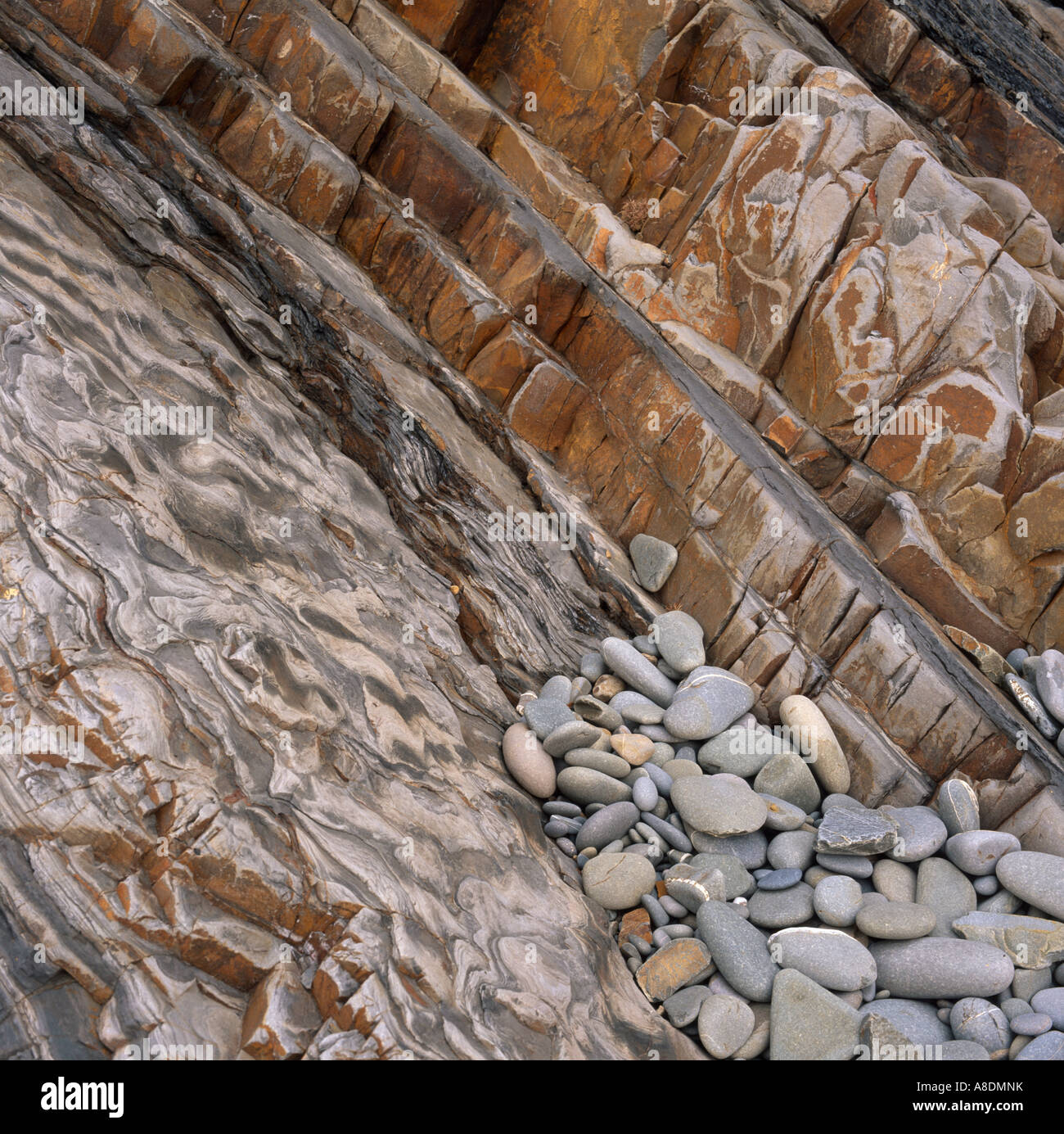 Cliff detail at Sandymouth, Cornwall, UK, showing strata and pebbles Stock Photo