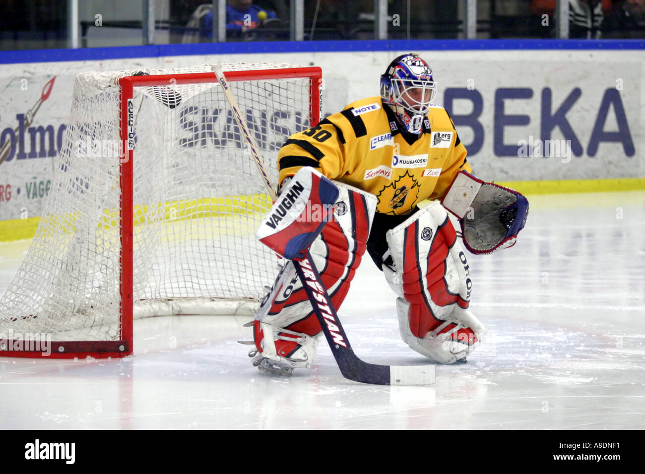 Hockey goalie cut jersey Montreal Boston Chicago Detroit Toronto NY-Rangers