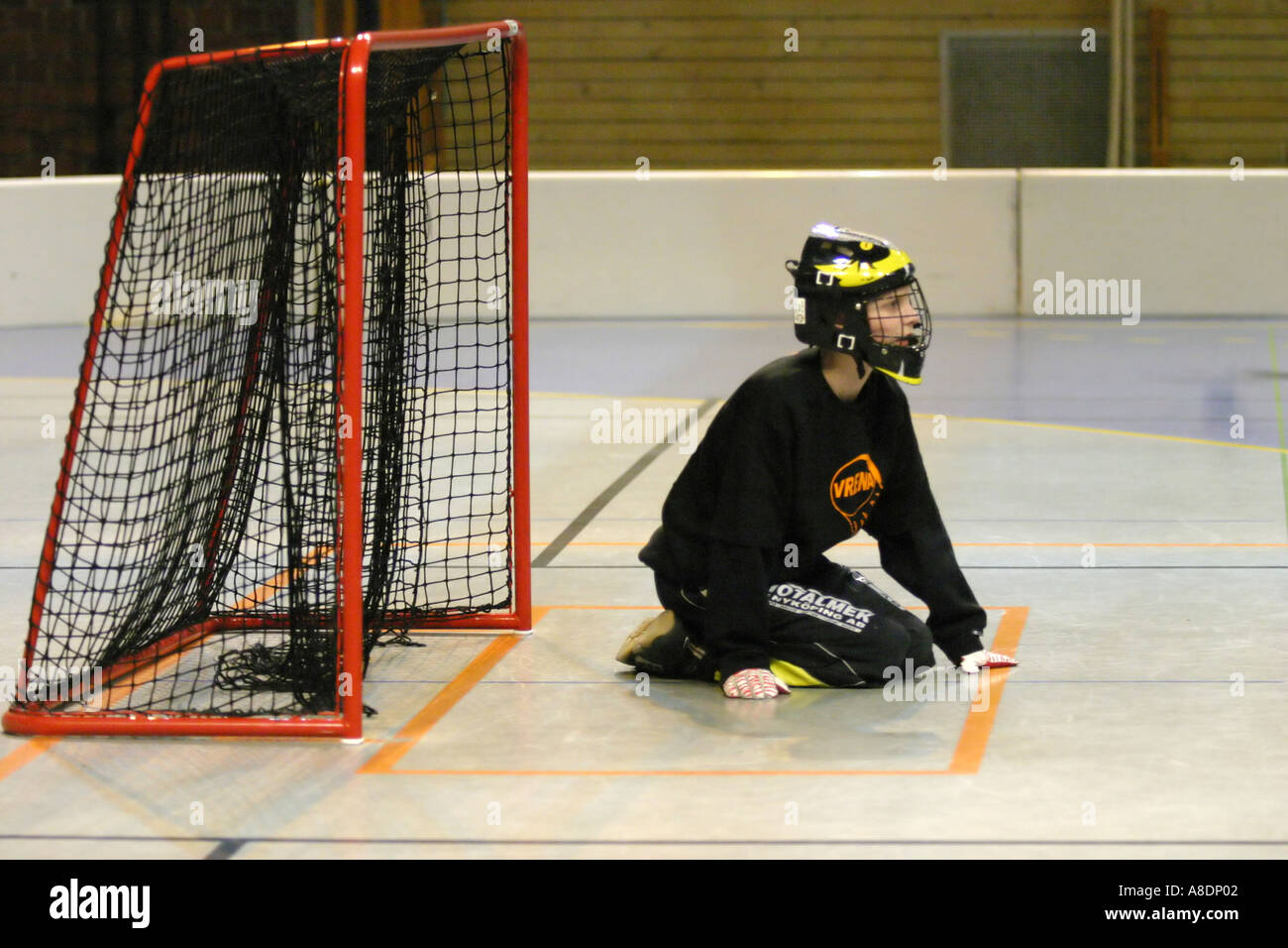 Goalkeeper in a floorball game Stock Photo Alamy