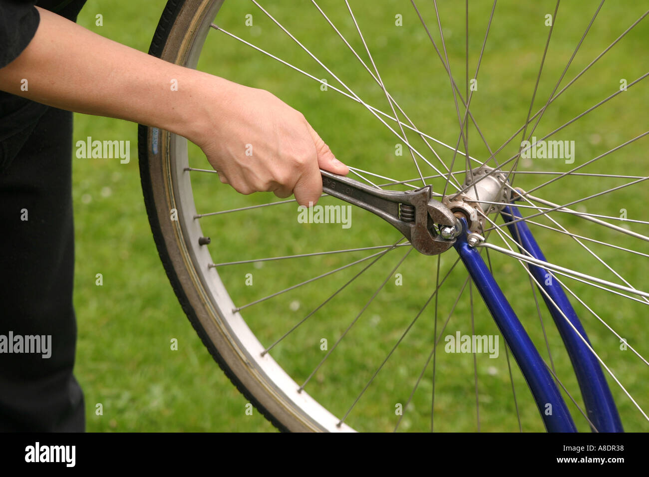 Using a spanner on a bikes front wheel Stock Photo Alamy