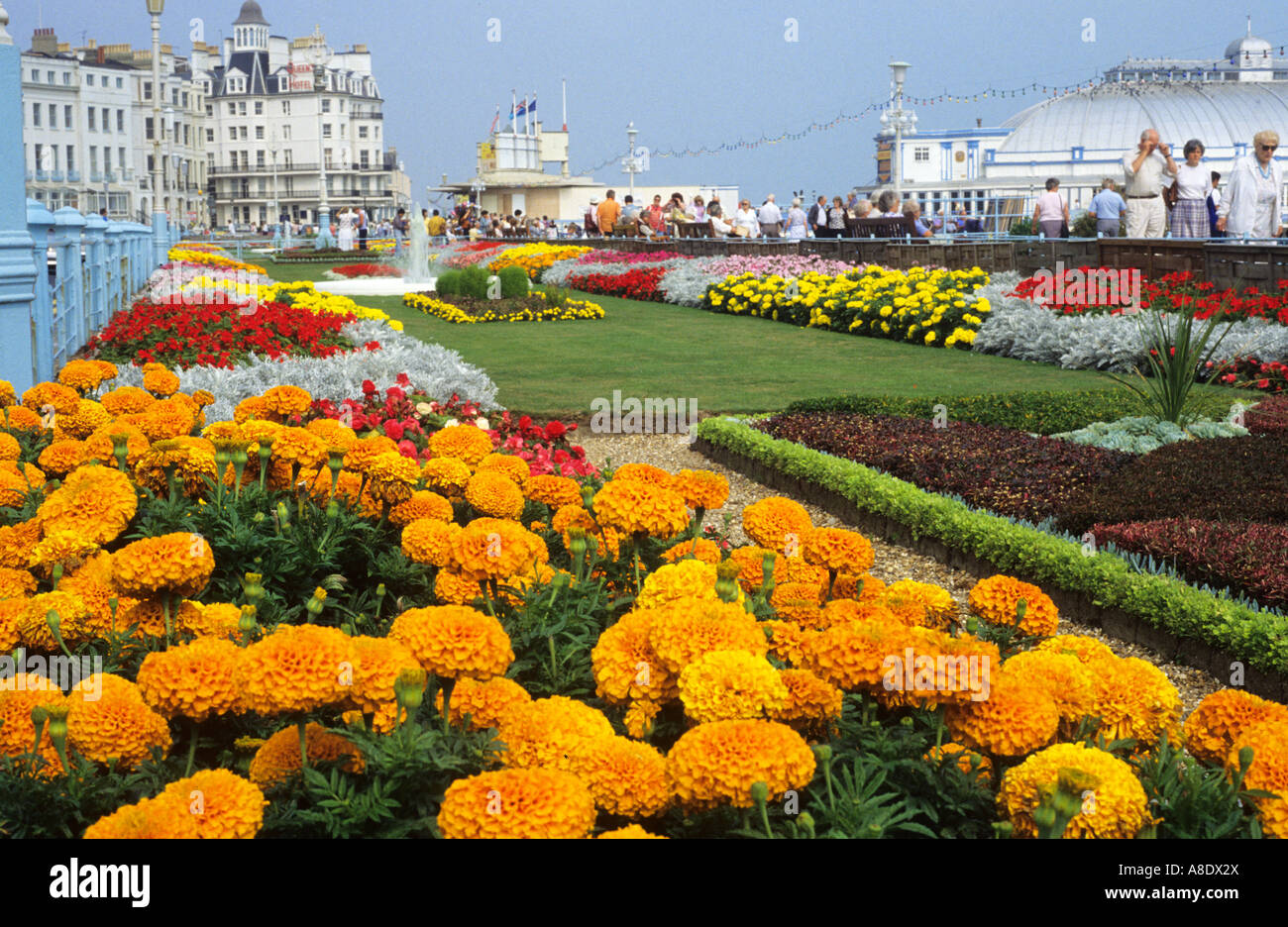 Carpet garden on seafront hires stock photography and images Alamy