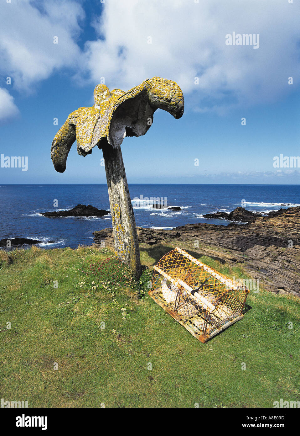 dh Whale bone BIRSAY ORKNEY Whale bone and creel whalebone Stock Photo