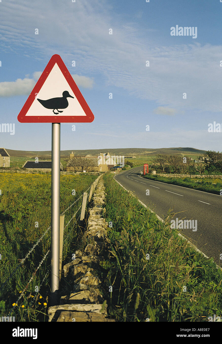 dh Bay of Ireland STENNESS ORKNEY Duck signpost road warning sign wildlife signs roadsign Stock Photo