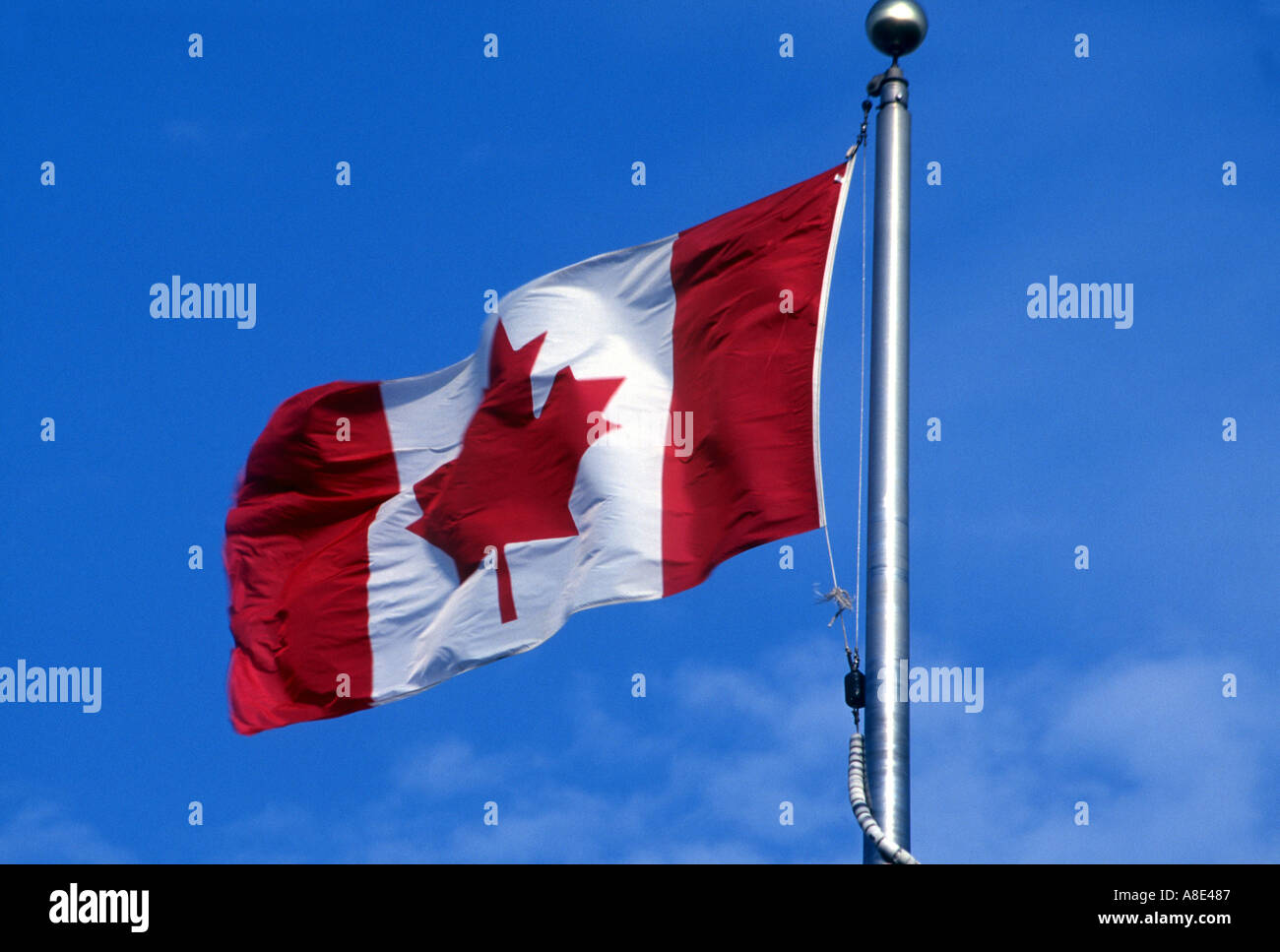 the canadian flag canada Stock Photo Alamy