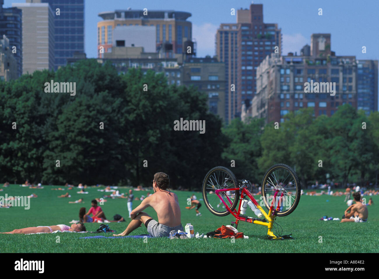 sunbathing Central Park Manhattan New York USA Stock Photo