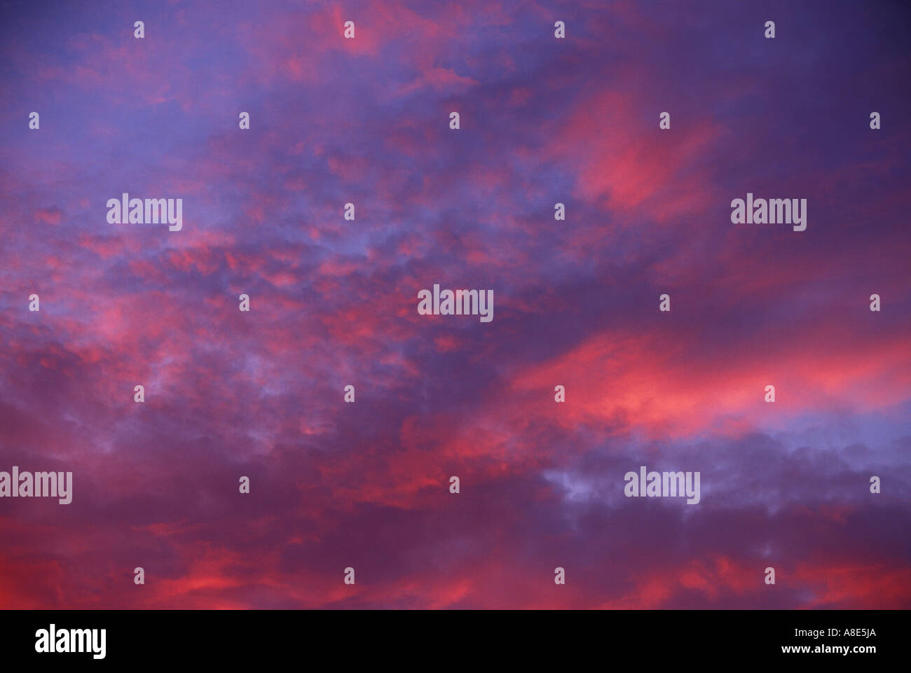 Red Sunset Clouds Over a Purple Sky Stock Photo - Alamy