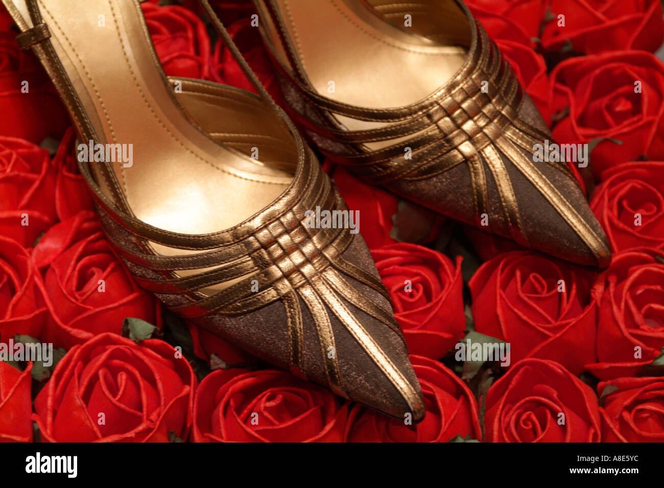 bronze high heel shoes
