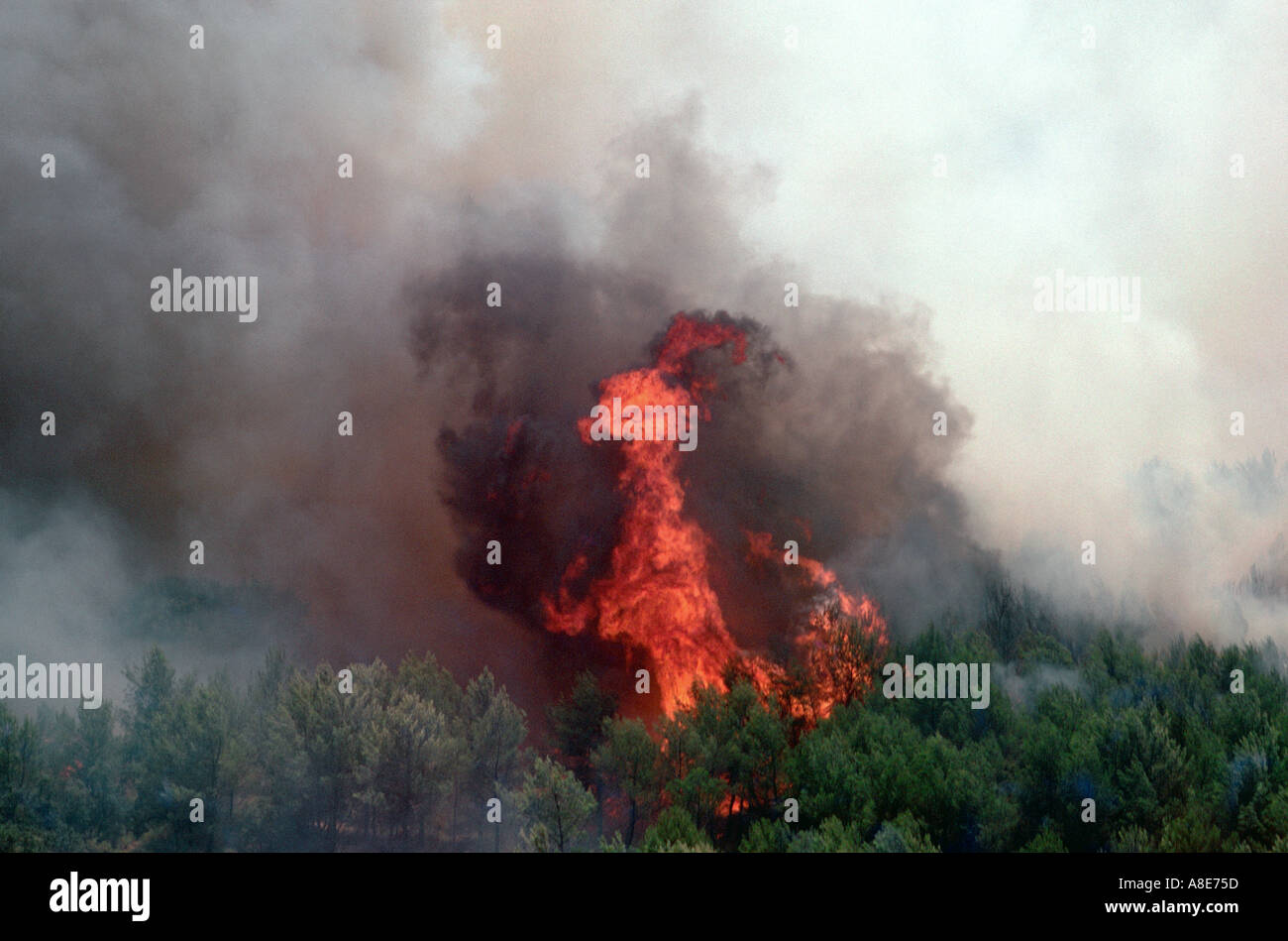 Aerial view of a wildfire, flames, forest fire black smoke, Bouches-du-Rhône, Provence, France, Europe, Stock Photo