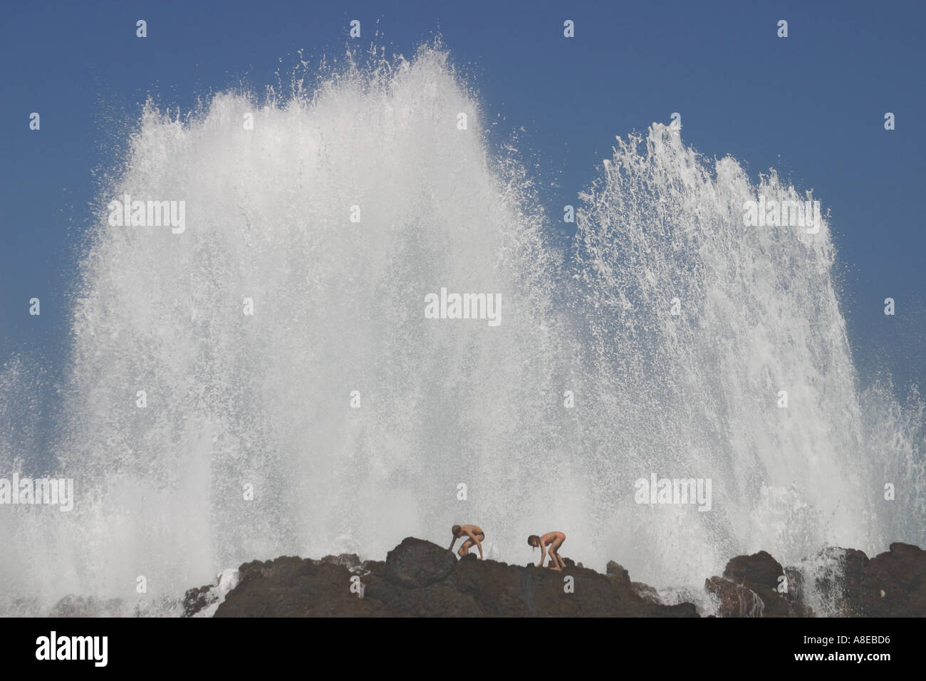 Lago Martianez,  Puerto de la Cruz,  Tenerife,  Canary Islands,  Spain. Stock Photo