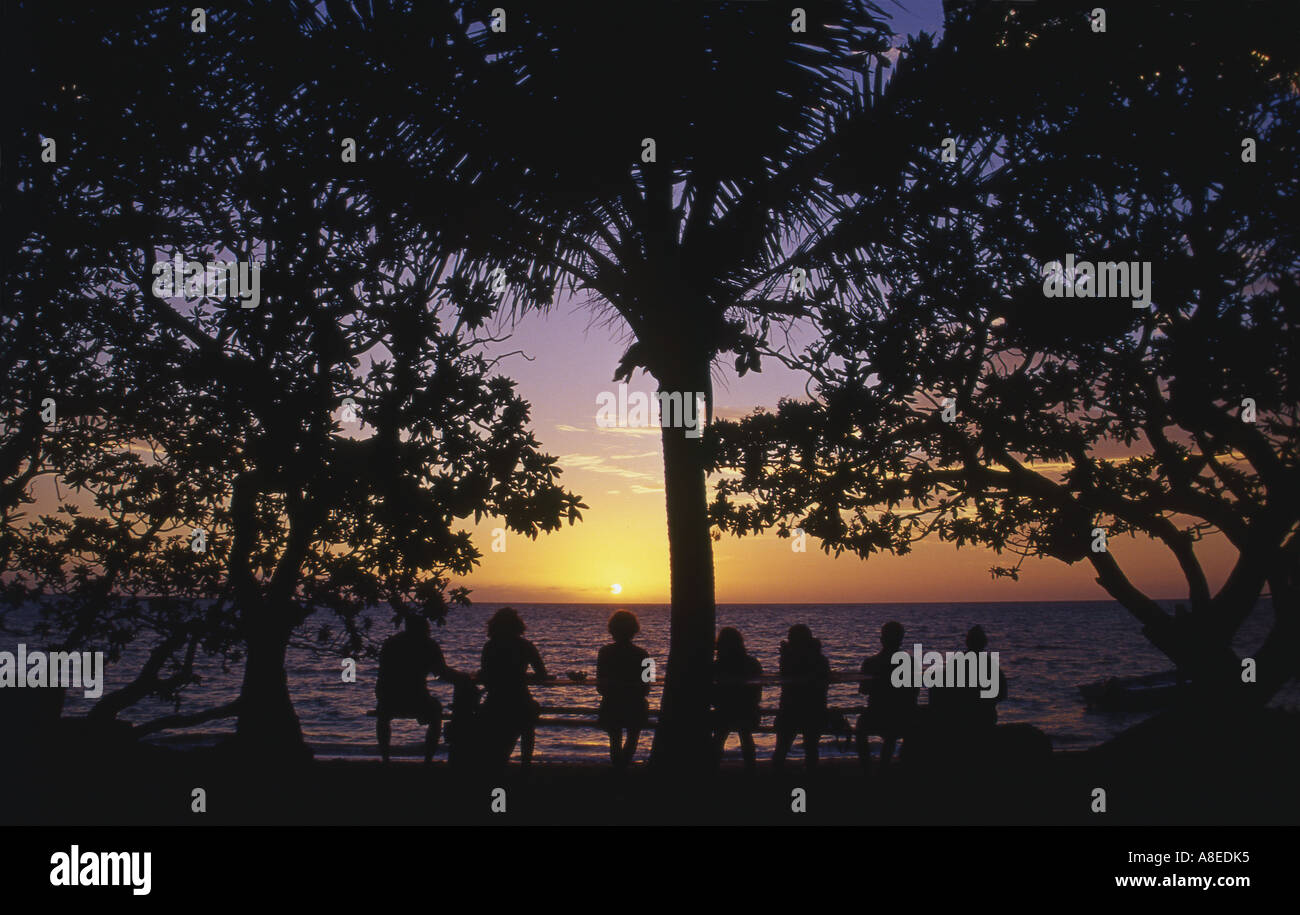 silhouette of a group of friends sitting under a palm tree overlooking the beach and sea and watching the sunset Stock Photo