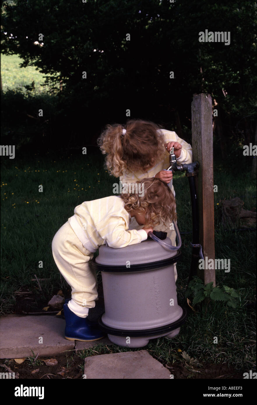fetch the water Stock Photo Alamy