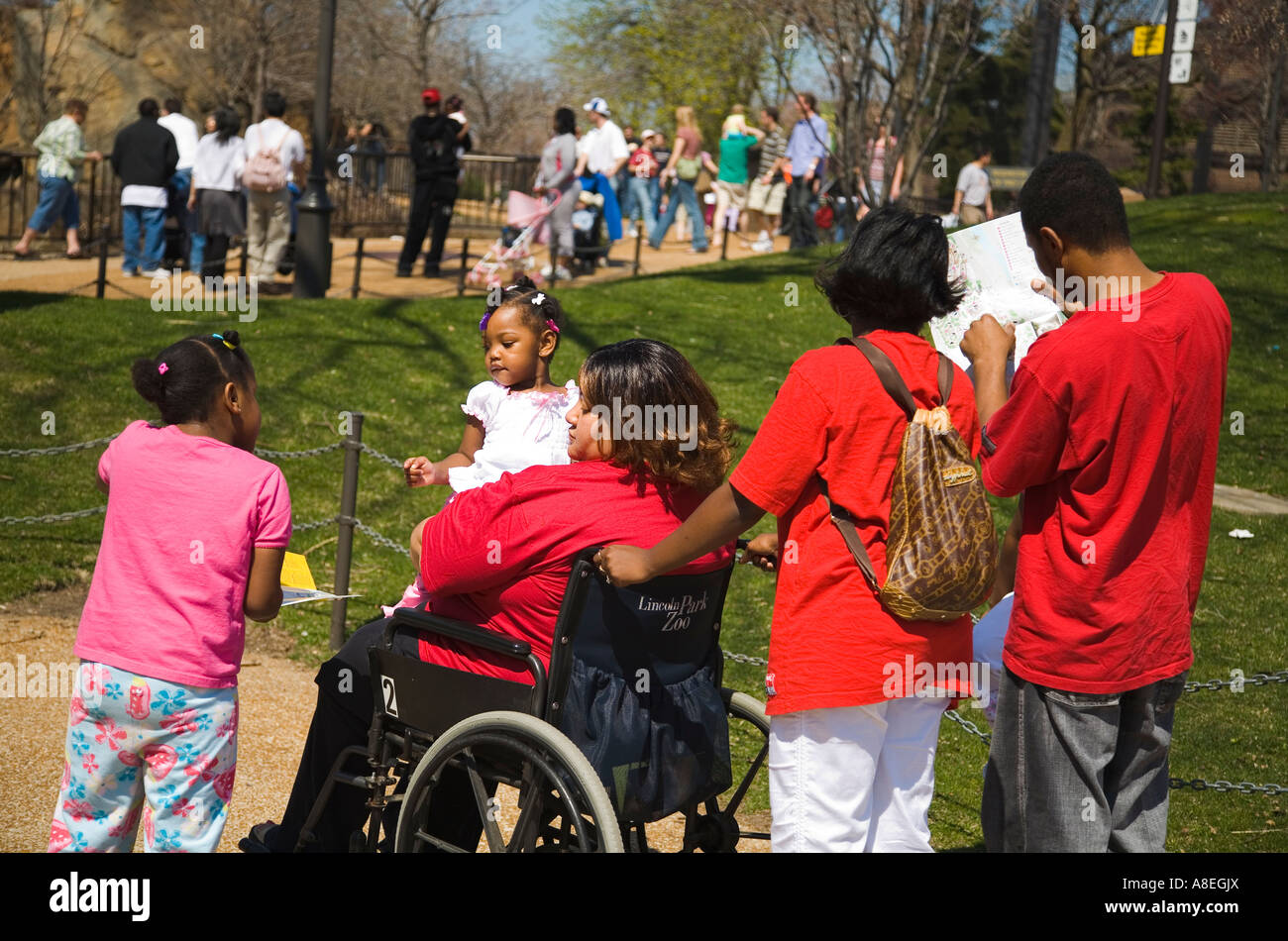CHICAGO Illinois Couple read map at Lincoln Park Zoo woman sit wheelchair and hold young girl Stock Photo
