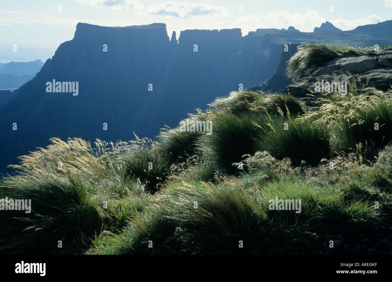 Drakensberg Mountains in South Africa Stock Photo - Alamy