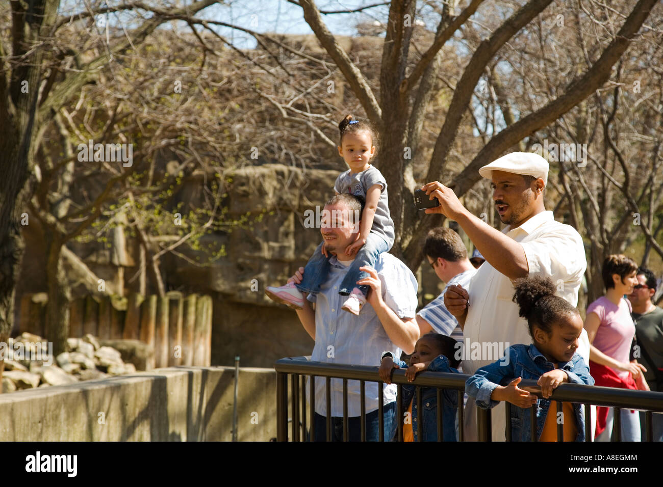 CHICAGO Illinois African American man use digital camera to photograph animal at Lincoln Park Zoo  girl sit on fathers shoulders Stock Photo
