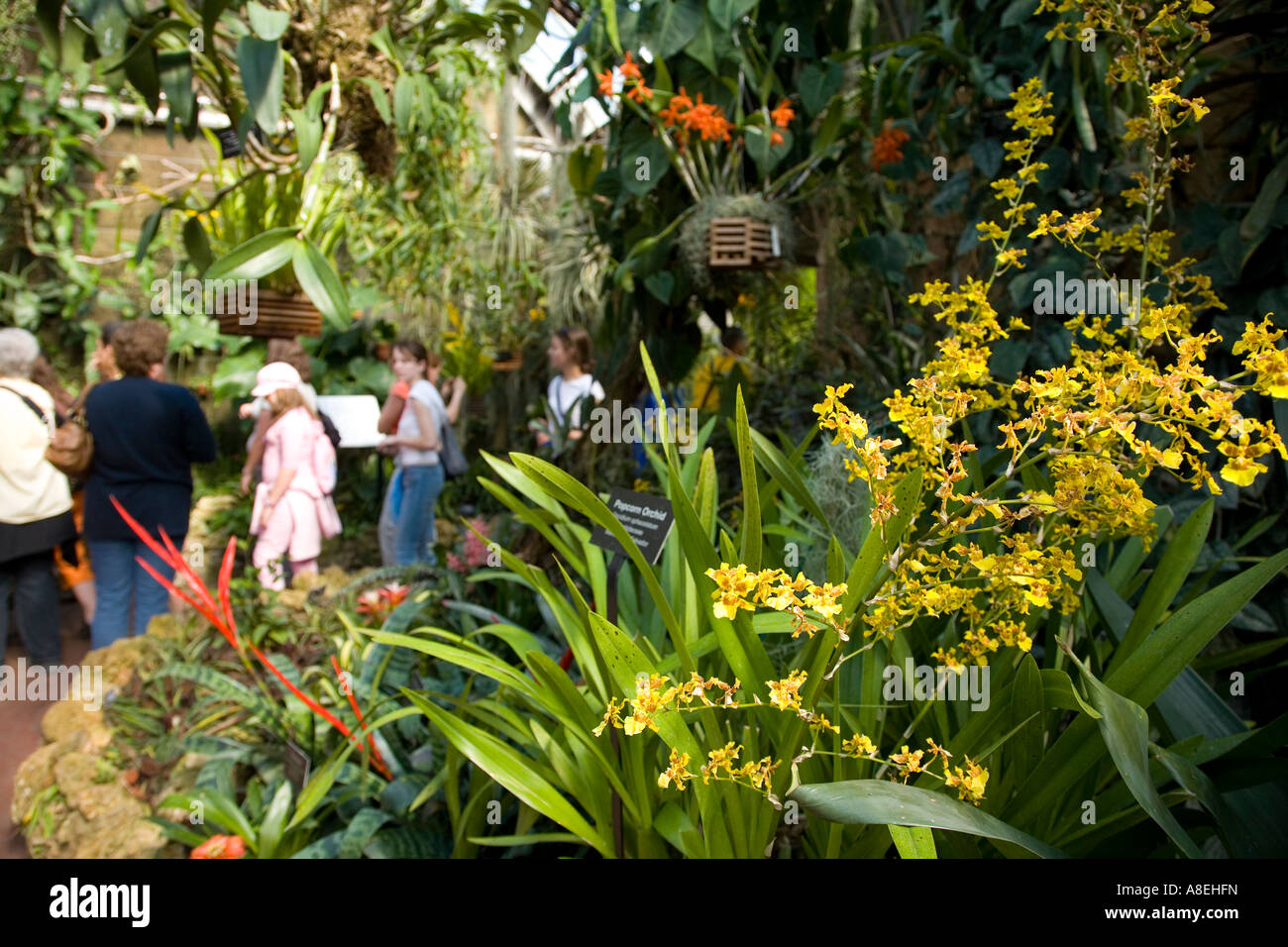 CHICAGO Illinois Visitors in tropical house at Lincoln Park
