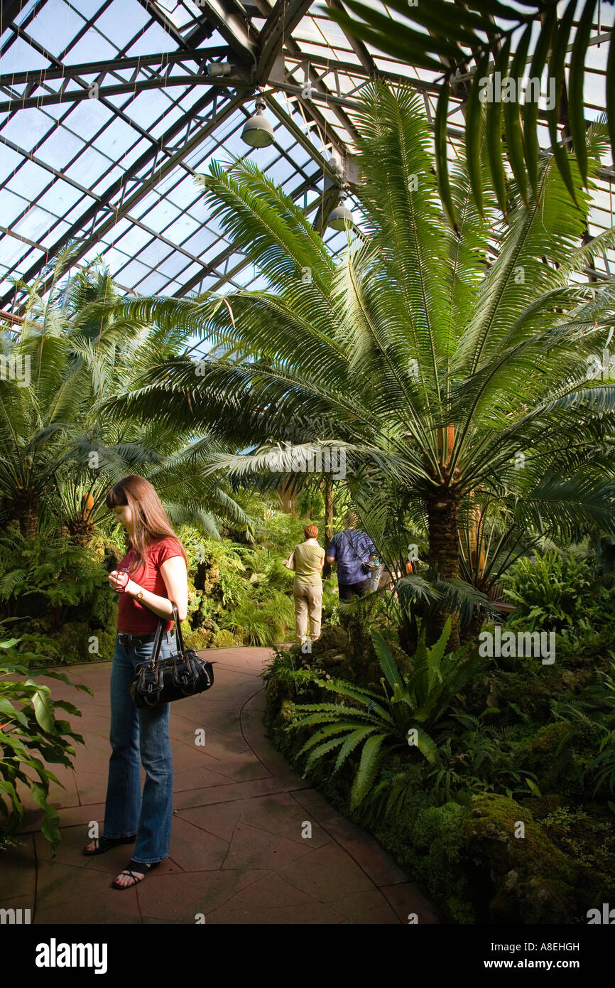 CHICAGO Illinois  Fern room at Lincoln Park Conservatory indoor botanical garden young woman on paved path view plants Stock Photo