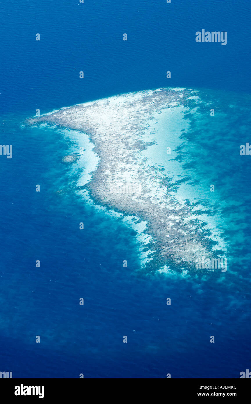 Aerial view of a tropical coral reef, Maldives Stock Photo - Alamy