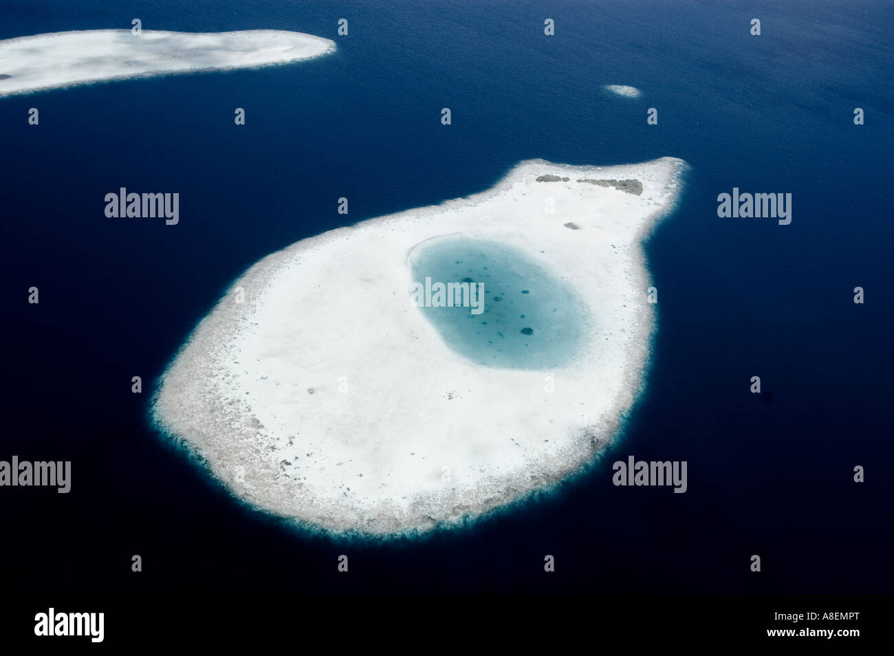 Aerial view of a tropical coral reef, Maldives Stock Photo - Alamy