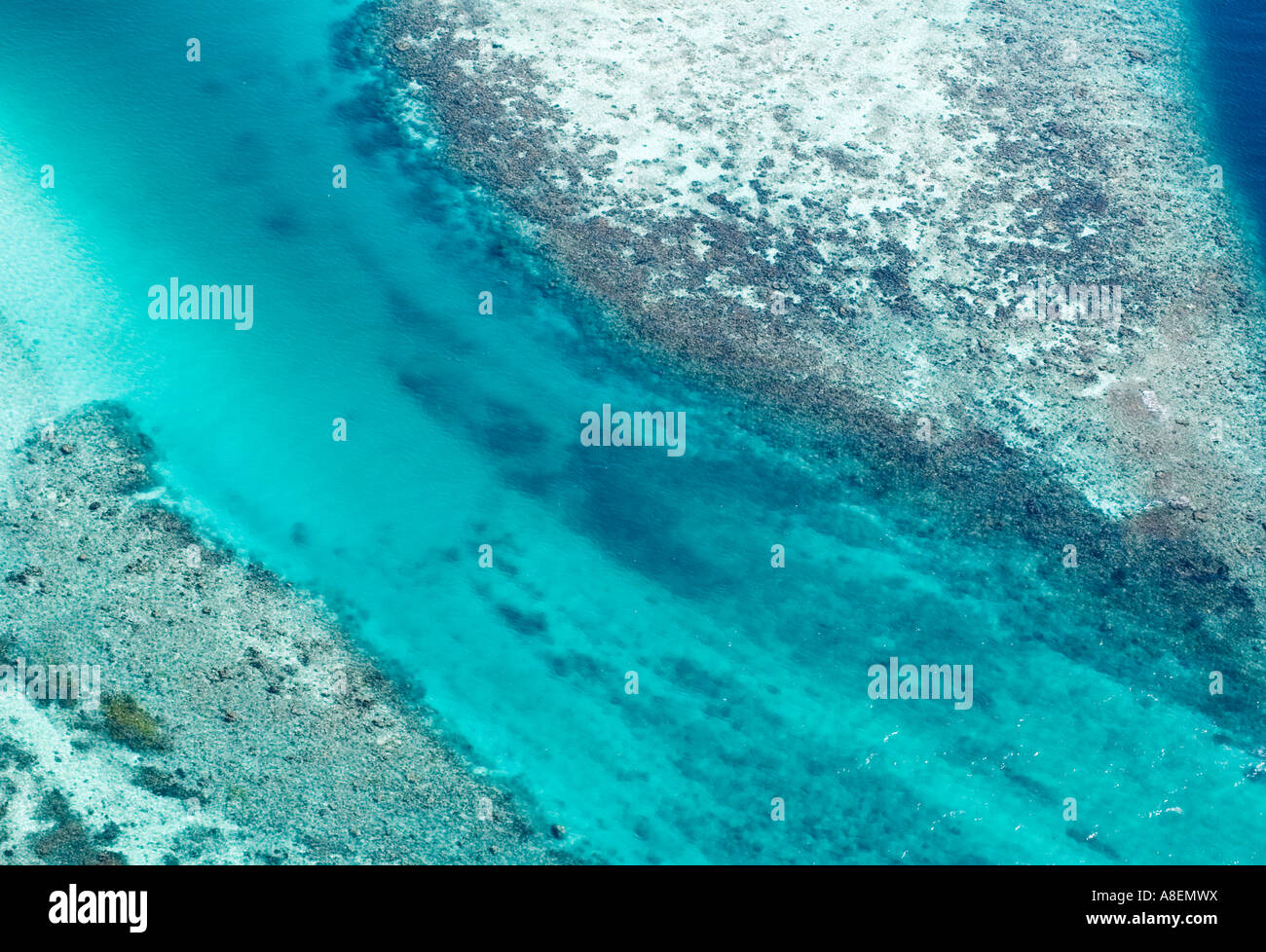 Aerial view of a tropical reef, Maldives, Indian ocean Stock Photo - Alamy