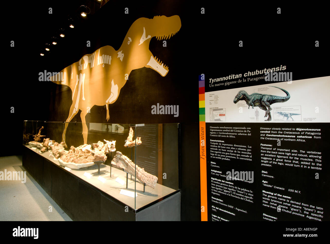 MEF (Museo Egidio Feruglio) Museum of Palaeontology, Trelew, Province of Chubut, Argentina Stock Photo