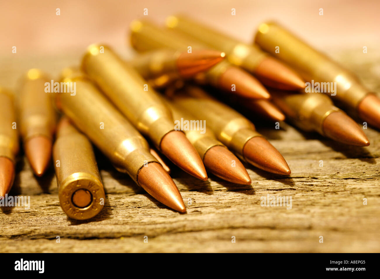 a pile of live ammunition 308 762 rifle cartridge bullets live rounds