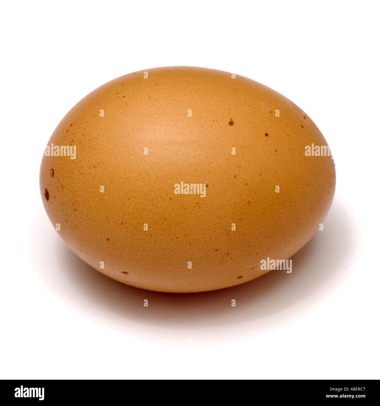 Brown egg on white background Stock Photo