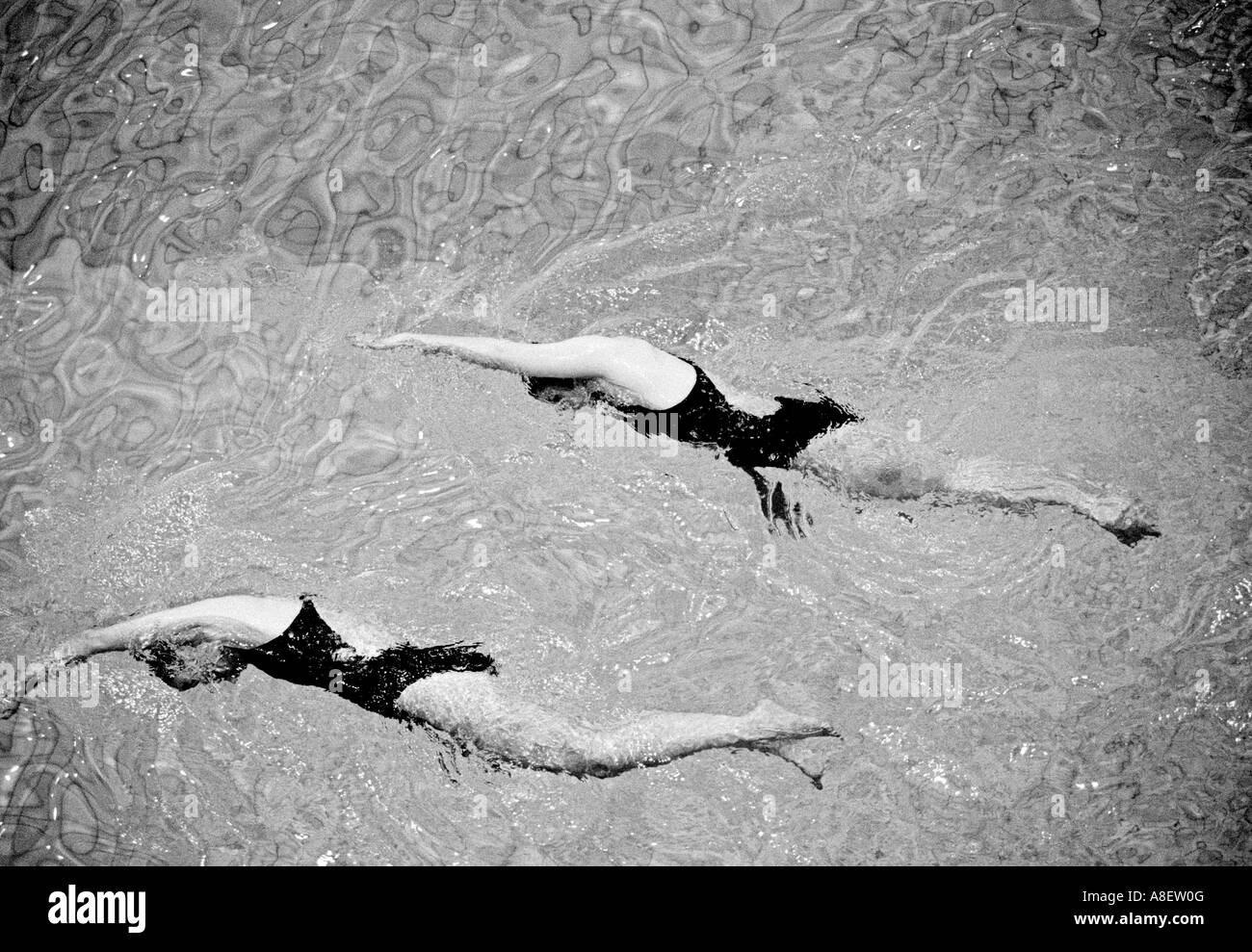 Swimmers Swimming Black and White Stock Photos & Images - Alamy