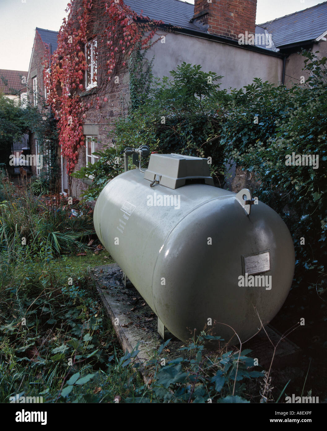 DOMESTIC PROPANE GAS TANK IN GARDEN UK Stock Photo Alamy